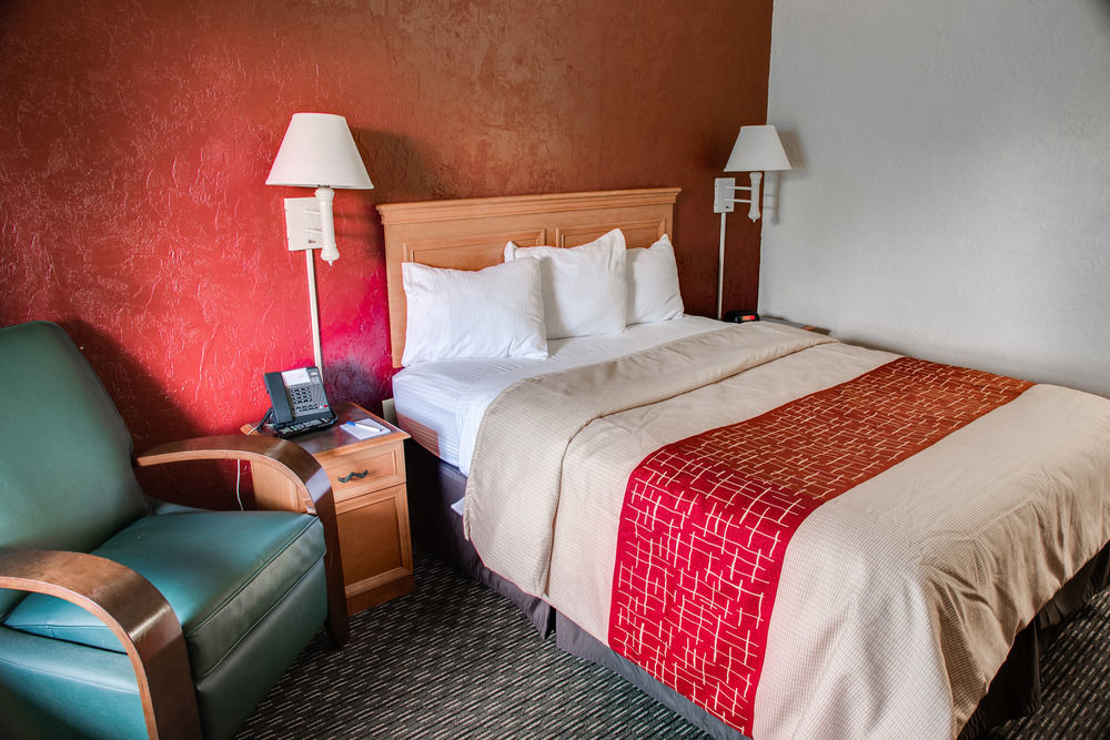 Red Roof Inn Tampa Bay - St. Petersburg Bagian luar foto