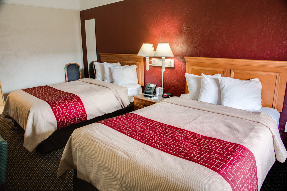 Red Roof Inn Tampa Bay - St. Petersburg Bagian luar foto
