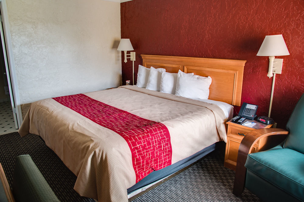Red Roof Inn Tampa Bay - St. Petersburg Bagian luar foto