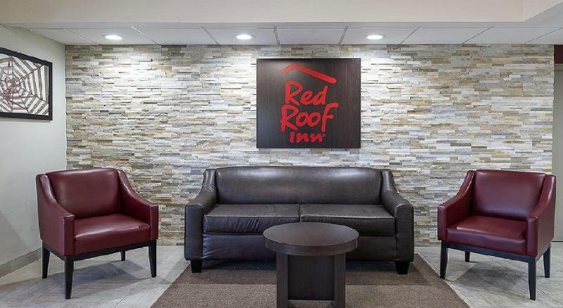 Red Roof Inn Tampa Bay - St. Petersburg Bagian luar foto